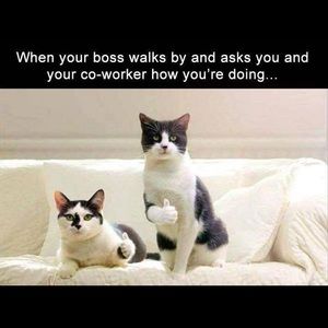 Meet your Posher, Alejandra